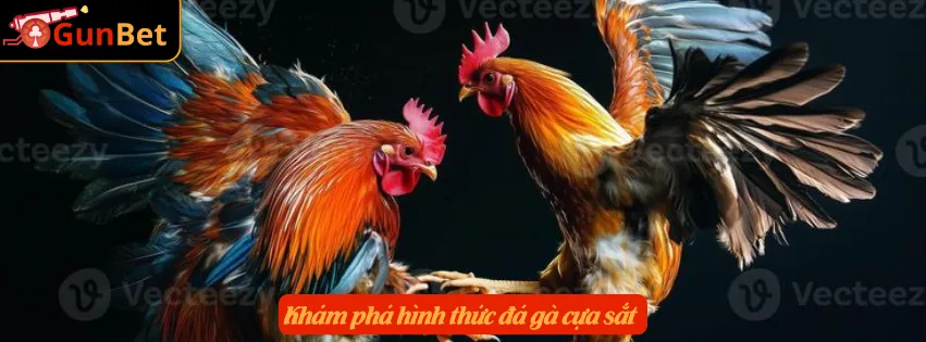 Khám phá hình thức đá gà cựa sắt