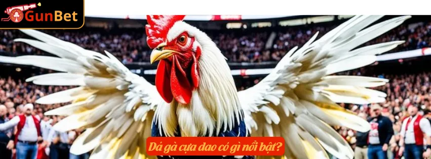 Dá gà cựa dao có gì nổi bật?