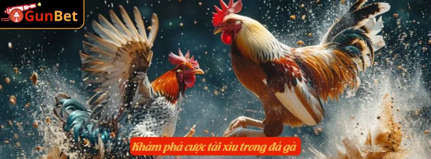 Khám phá cược tài xỉu trong đá gà
