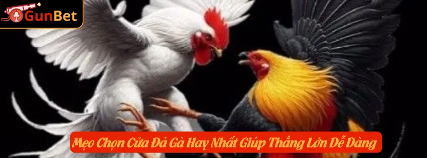 Mẹo Chọn Cửa Đá Gà Hay Nhất Giúp Thắng Lớn Dễ Dàng