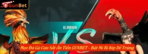 Mẹo Đá Gà Cựa Sắt Ăn Tiền GUNBET - Bật Mí Bí Kíp Dễ Trúng