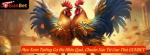 Mẹo Xem Tướng Gà Đá Hiệu Quả, Chuẩn Xác Từ Cao Thủ GUNBET