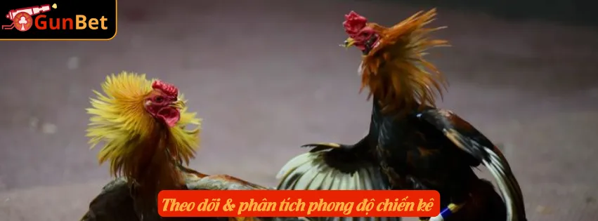 Theo dõi & phân tích phong độ chiến kê