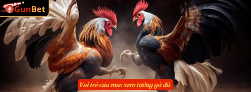 Vai trò của mẹo xem tướng gà đá 
