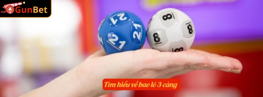 Tìm hiểu về bao lô 3 càng